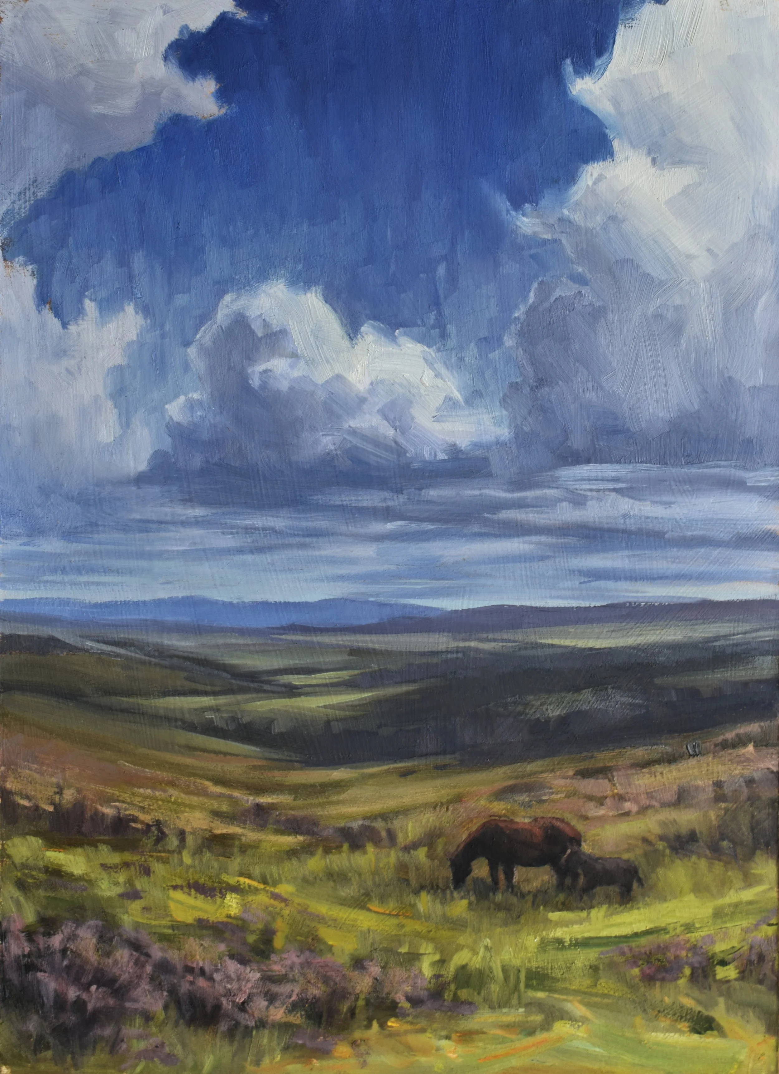   Dartmoor Vista  – 10” × 14” – Oil on Panel – Available 