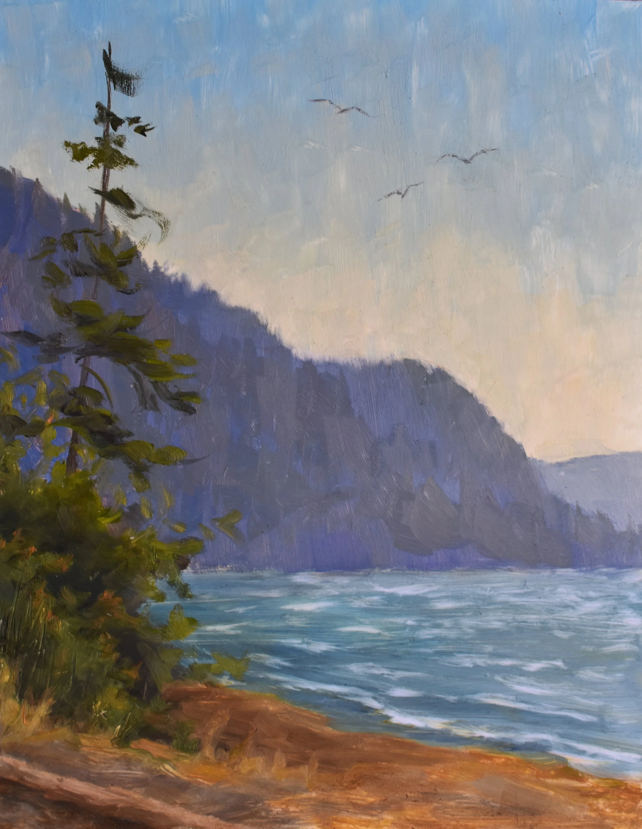 Nitinaht_2025_plein_air.jpg