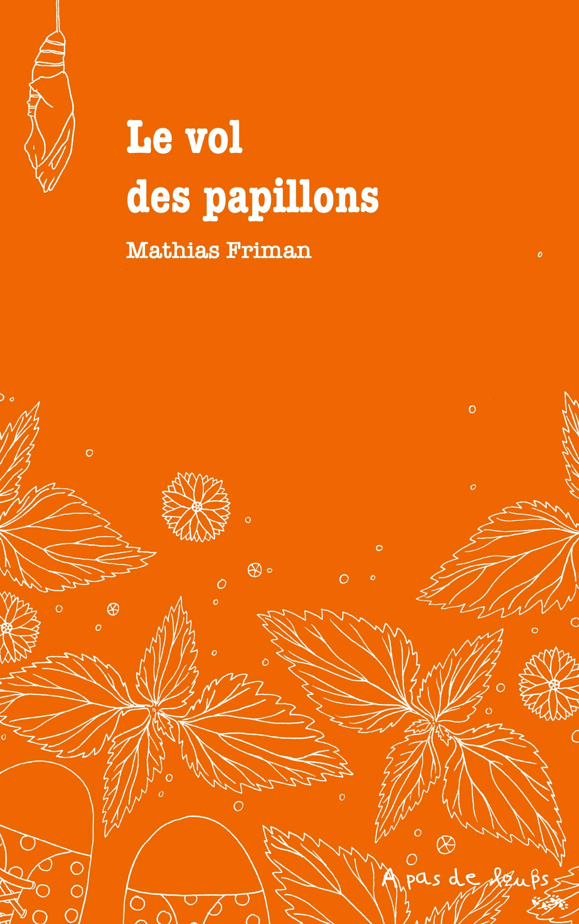 Le vol des papillons de Mathias friman dans vos librairies dès le 15 septembre 2026