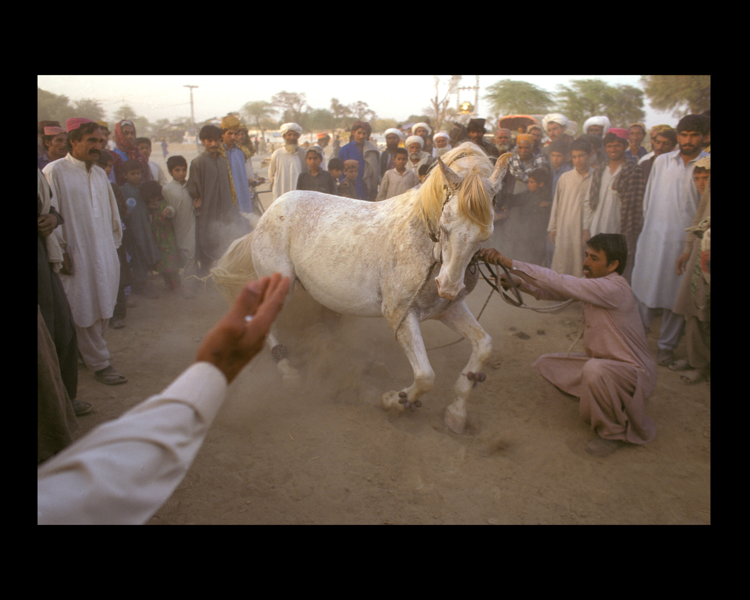  Horse dance at the Sibi Camel Festival in Balochistan, Pakistan. 1997 