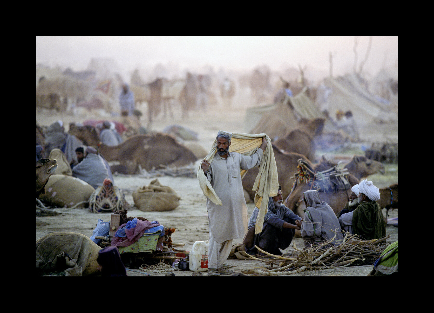  Camel camp at the Sibi Mela Camel Festival. Balochistan, Pakistan. 1998 