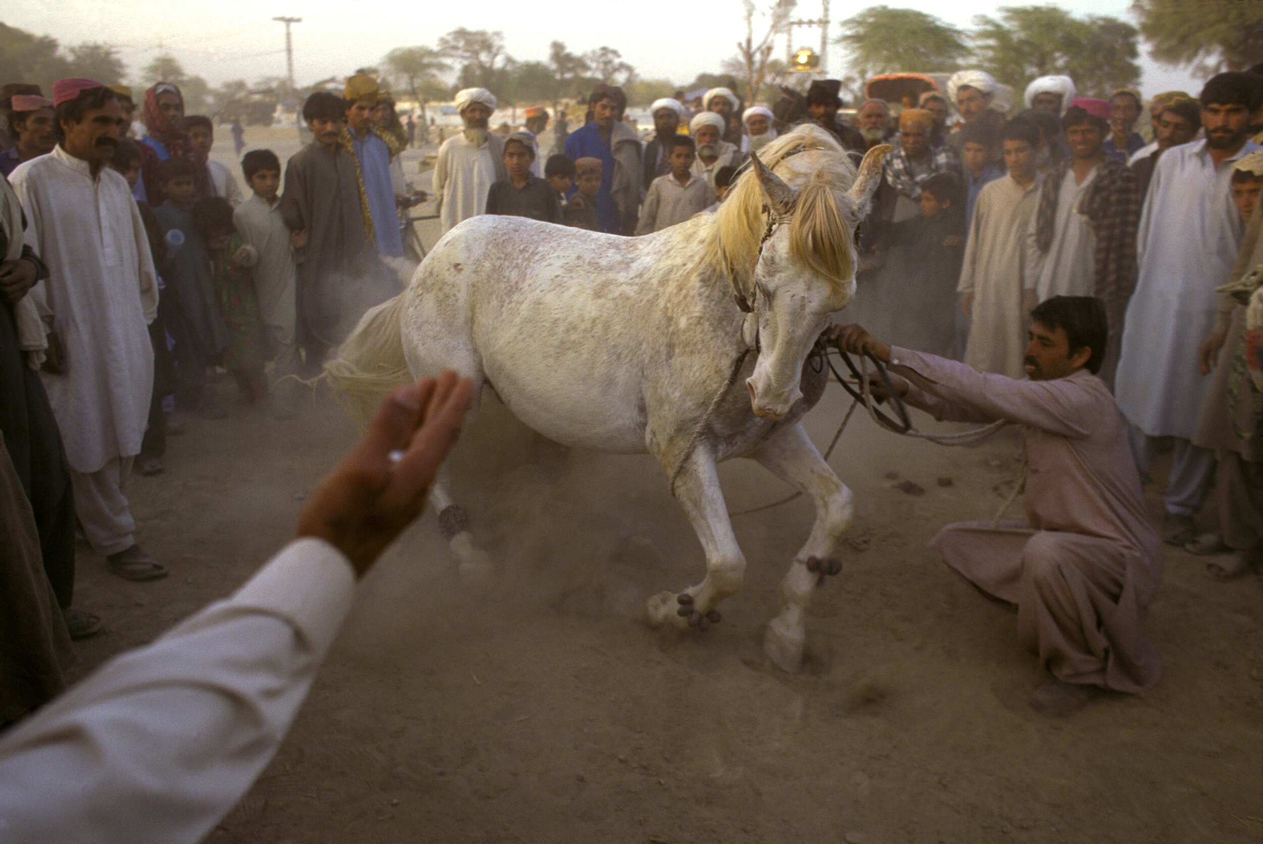  Horse dance at the Sibi Camel Festival in Balochistan, Pakistan. 1997 