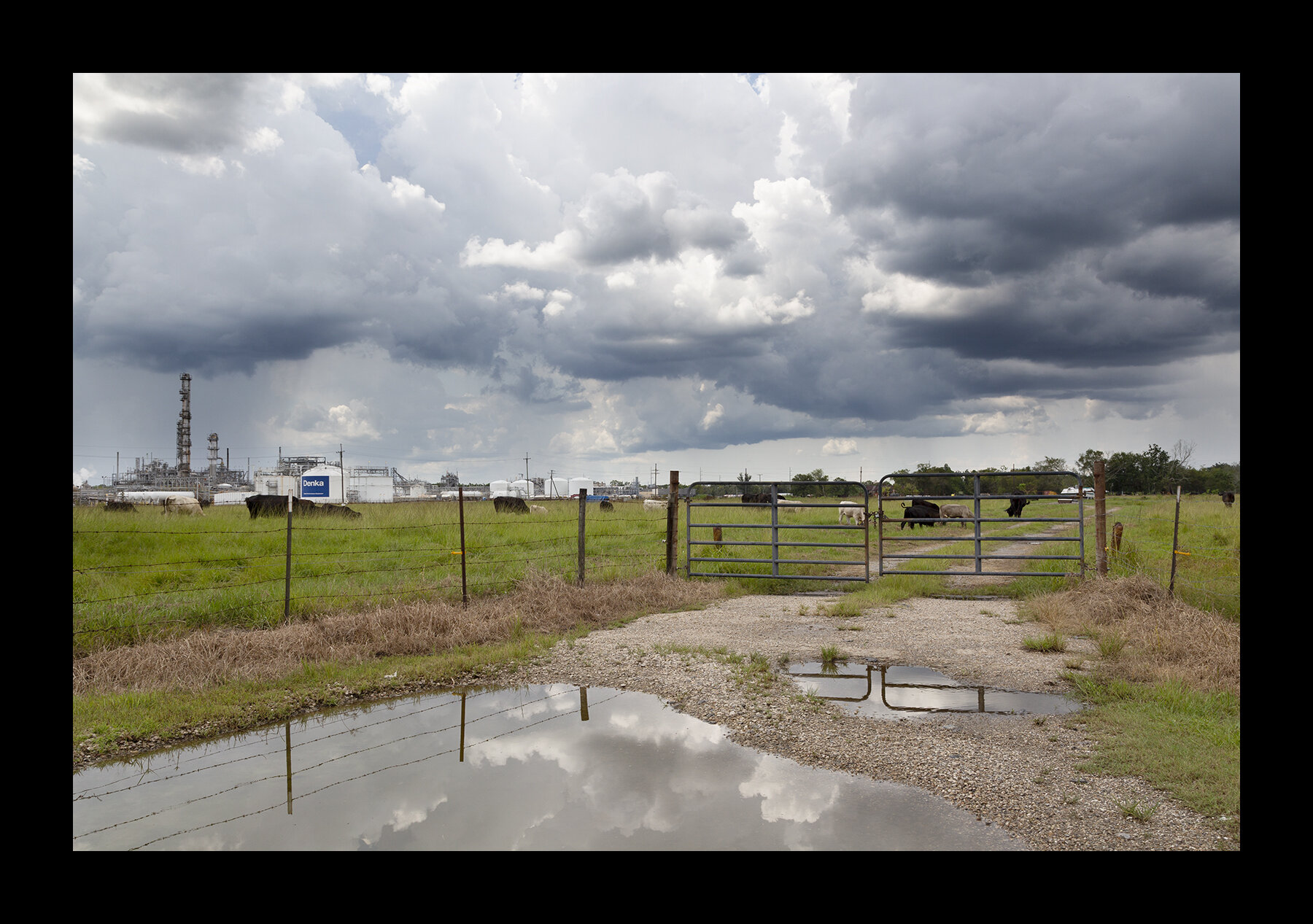  DuPont Denka petrochemical plant in La Place, Louisiana. This plant is in “cancer alley,” where EPA audits show that Louisiana has long ranked among the worst states at enforcing clean air, clean water and hazardous waste laws. 