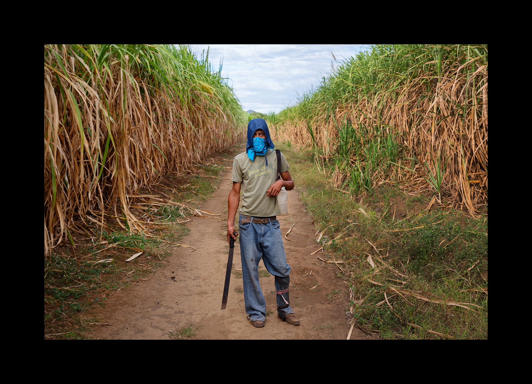  Sugar cane worker with CKDnT poses in the cane fields in Chichigalpa, Nicaragua on Jan. 9, 2013. 