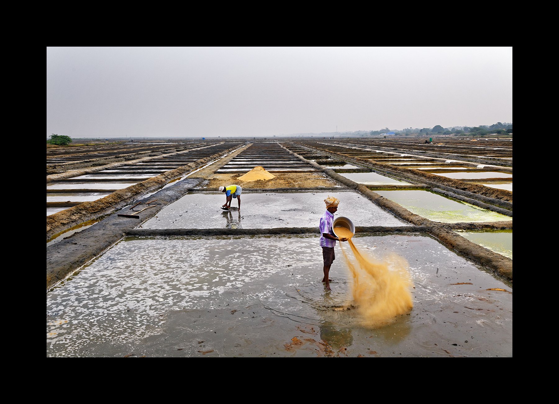  Laborers prepare the Marakannam salt pan fields for salt harvest near Pondicherry, India on Jan. 21, 2016. 