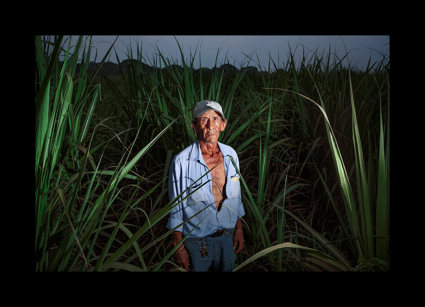  A former sugar cane worker, 67, photographed in the sugar cane fields where he worked for 25 years, in Chichigalpa, Nicaragua on April 25, 2014. He is currently sick with CKDnT after years of toiling without protection from heat stress and dehydrati