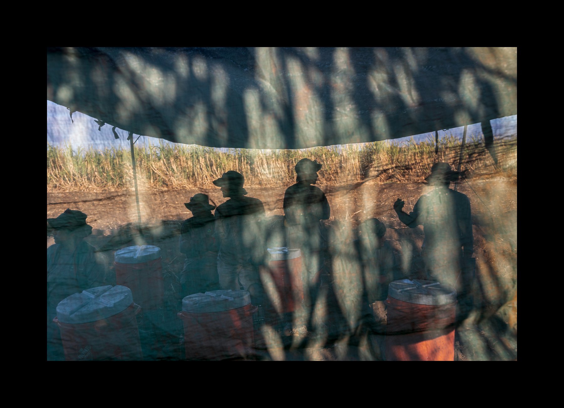  Sugar cane cutters take a rest break in the shade as part of the Adelante Initiative, at the Ingenio San Antonio (San Antonio Sugar Mill), in Chichigalpa, Nicaragua on Feb. 24, 2020.   