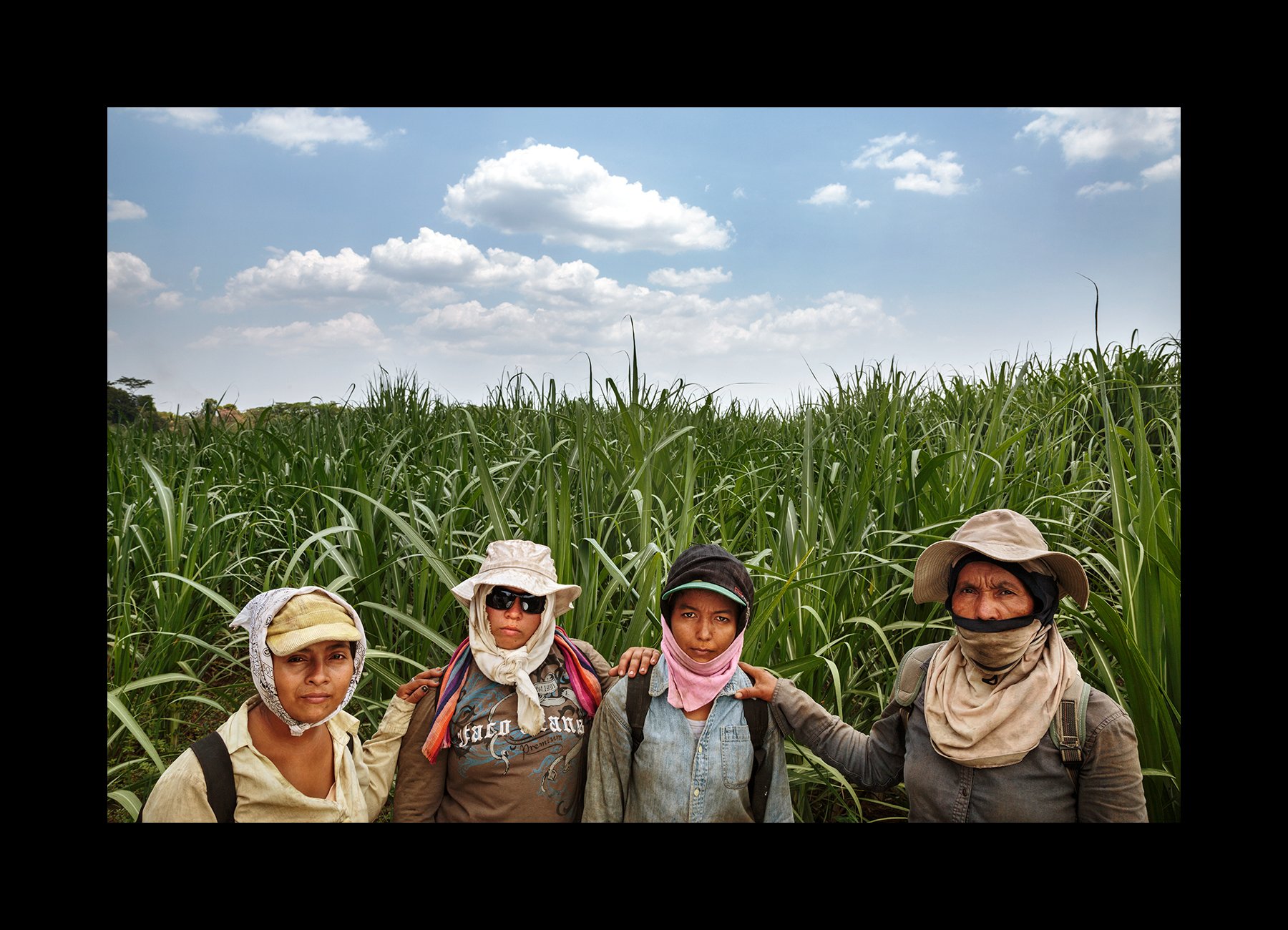  Cousins pose for a portrait in the cane fields of Chichigalpa, Nicaragua on April 26, 2014. They support their families with this work after their husbands and brothers have either died or gotten sick from CKDnT. 