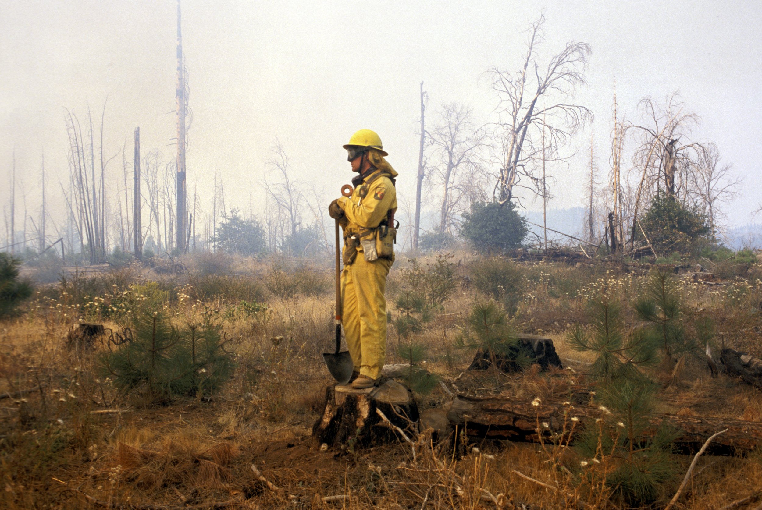  Forest firefighter in Shasta County. 1999 