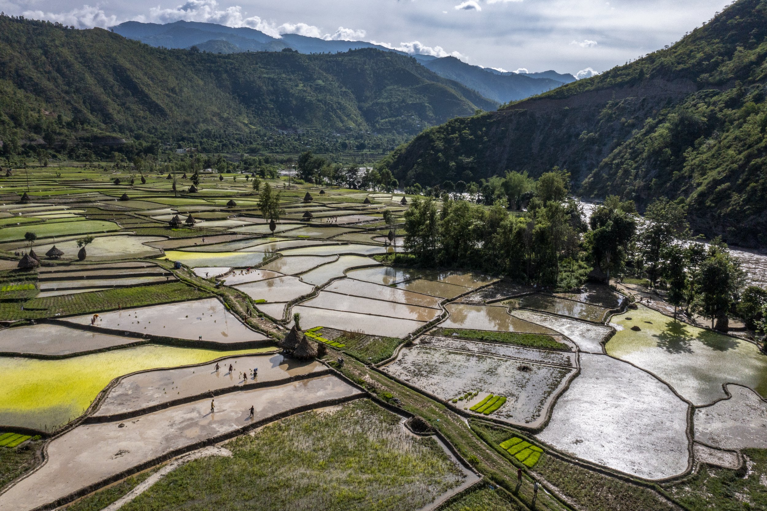  Aerial view of rice fields in the hills of Nepal, on July 2, 2022. 