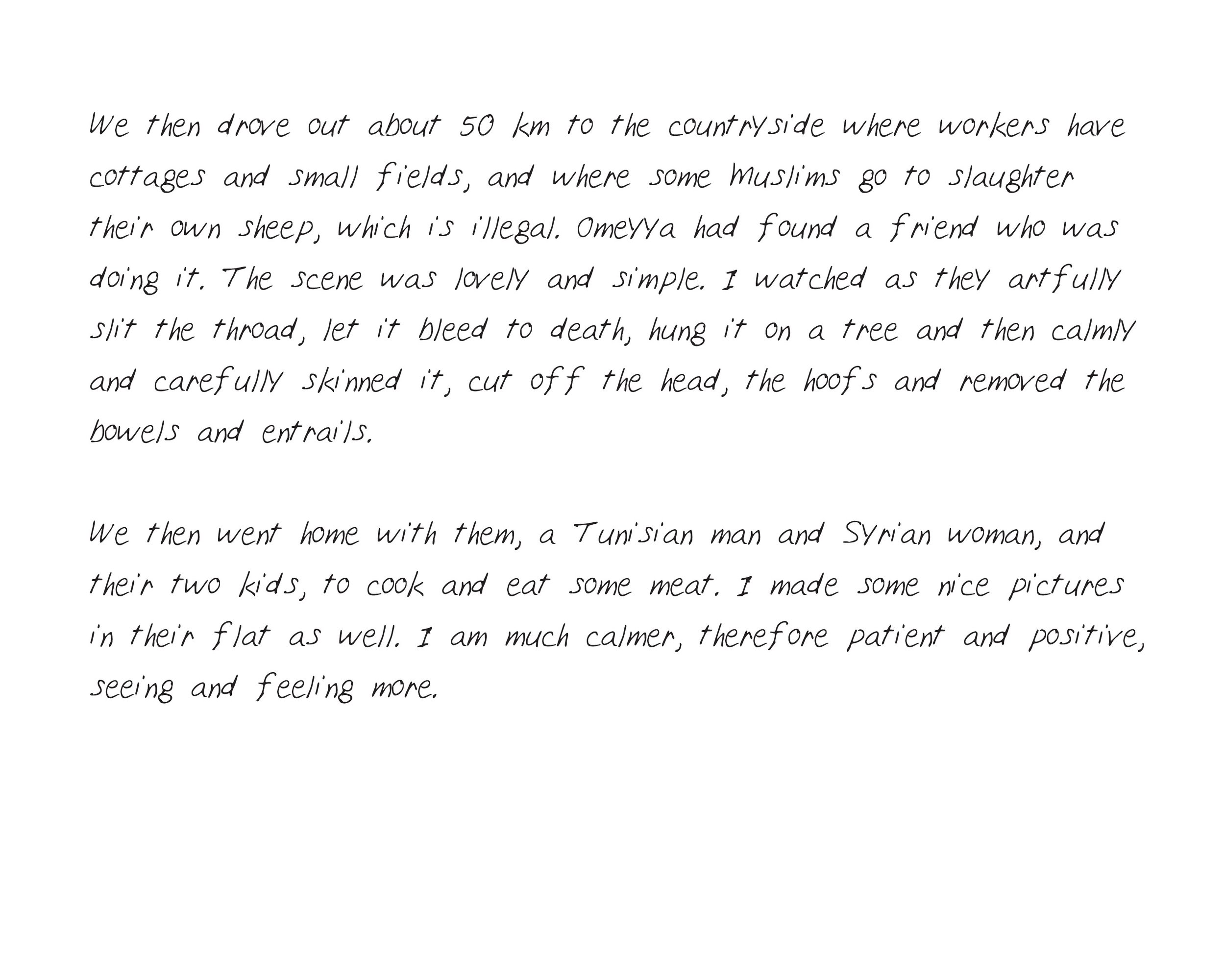   (Continued)  Journal entry from November 16, 2010. 