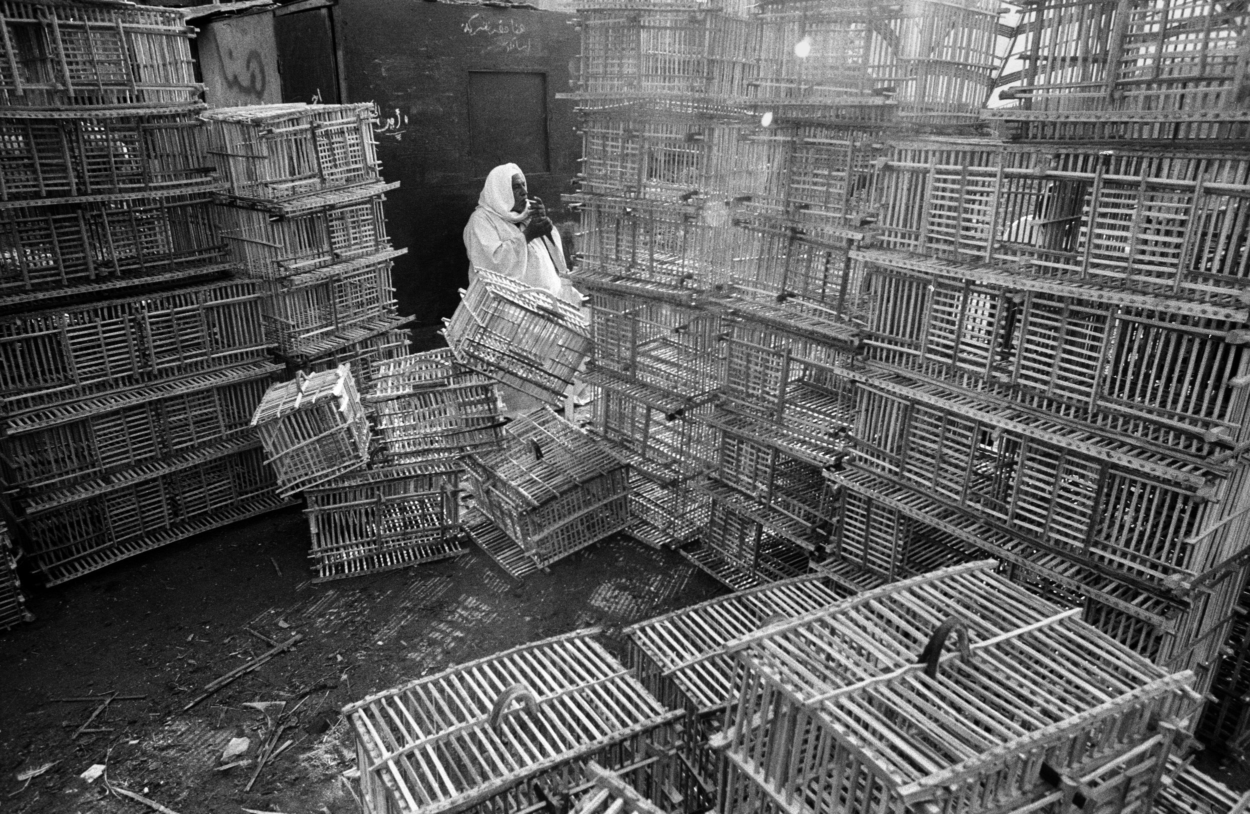  At the Sunday Animal market, a man sells pigeon cages. Pigeon is a staple in the diets of City of the Dead residents. 