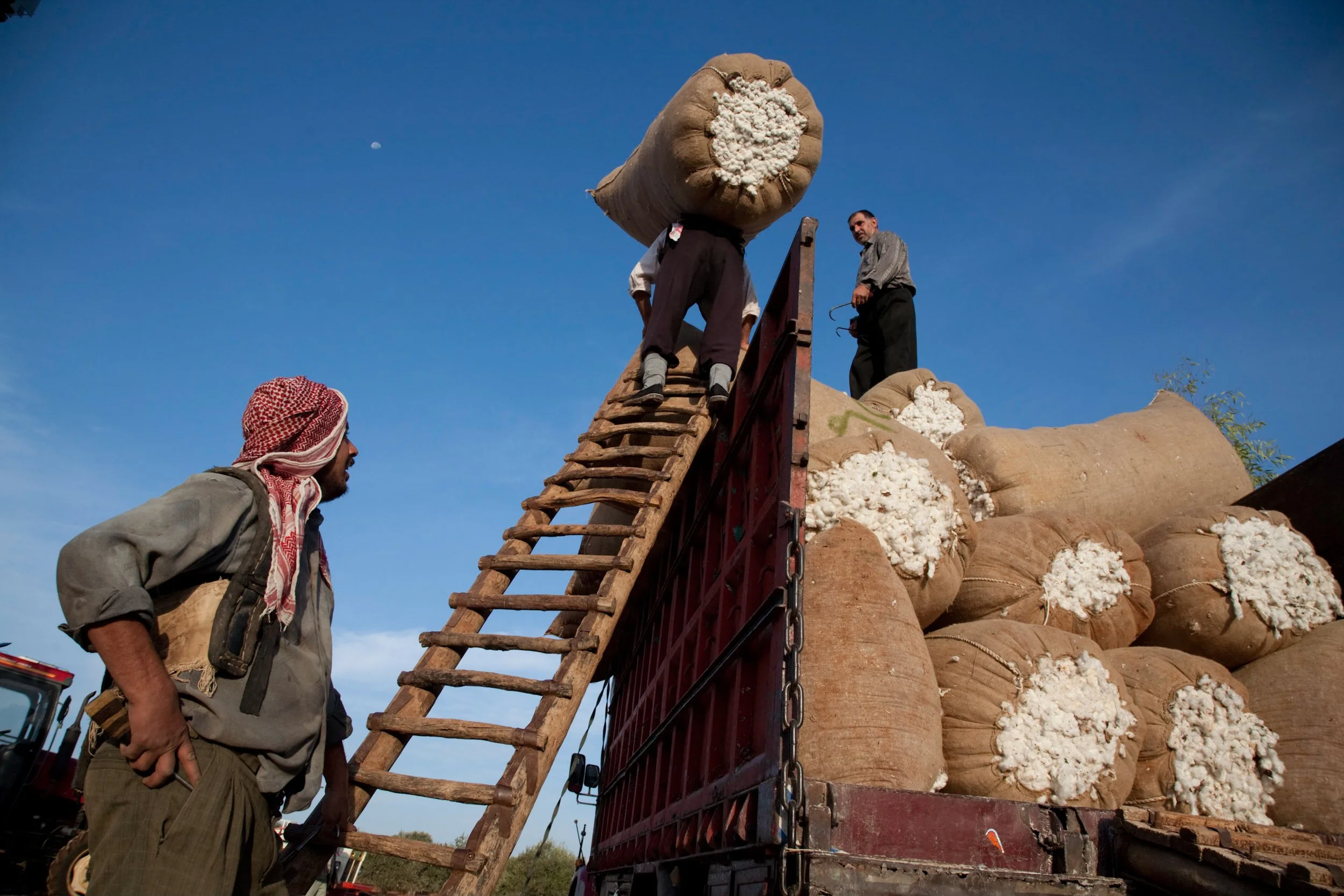 In the farming village of Kitian, brothers working together load 400 lb bags of freshly picked cotton onto a truck for delivery to a state run cotton gin mill. Syria, 2008.