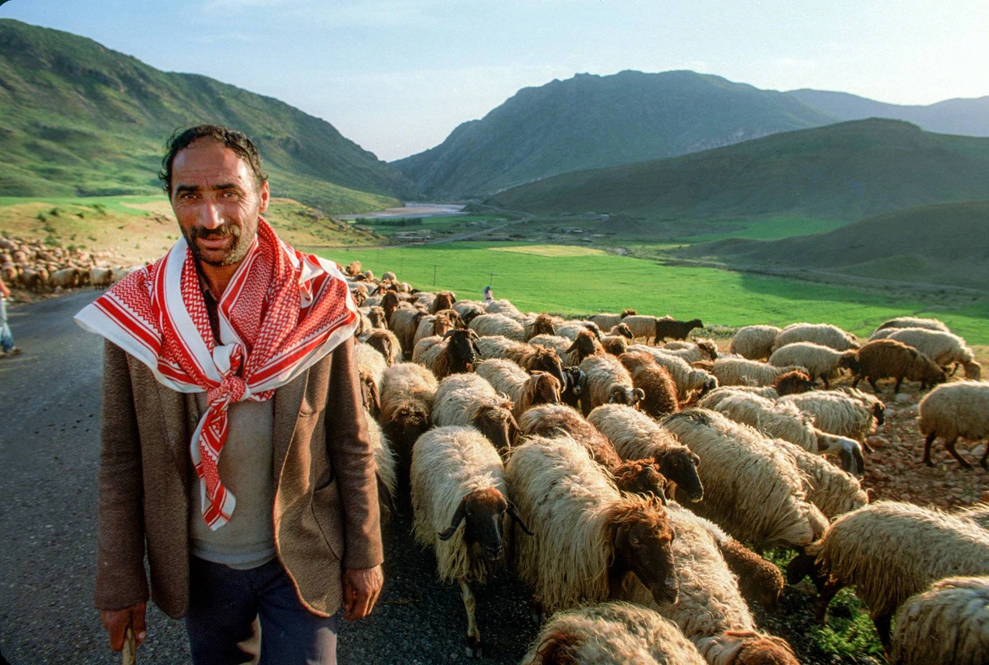 Sheep herder in Iran, 1991.