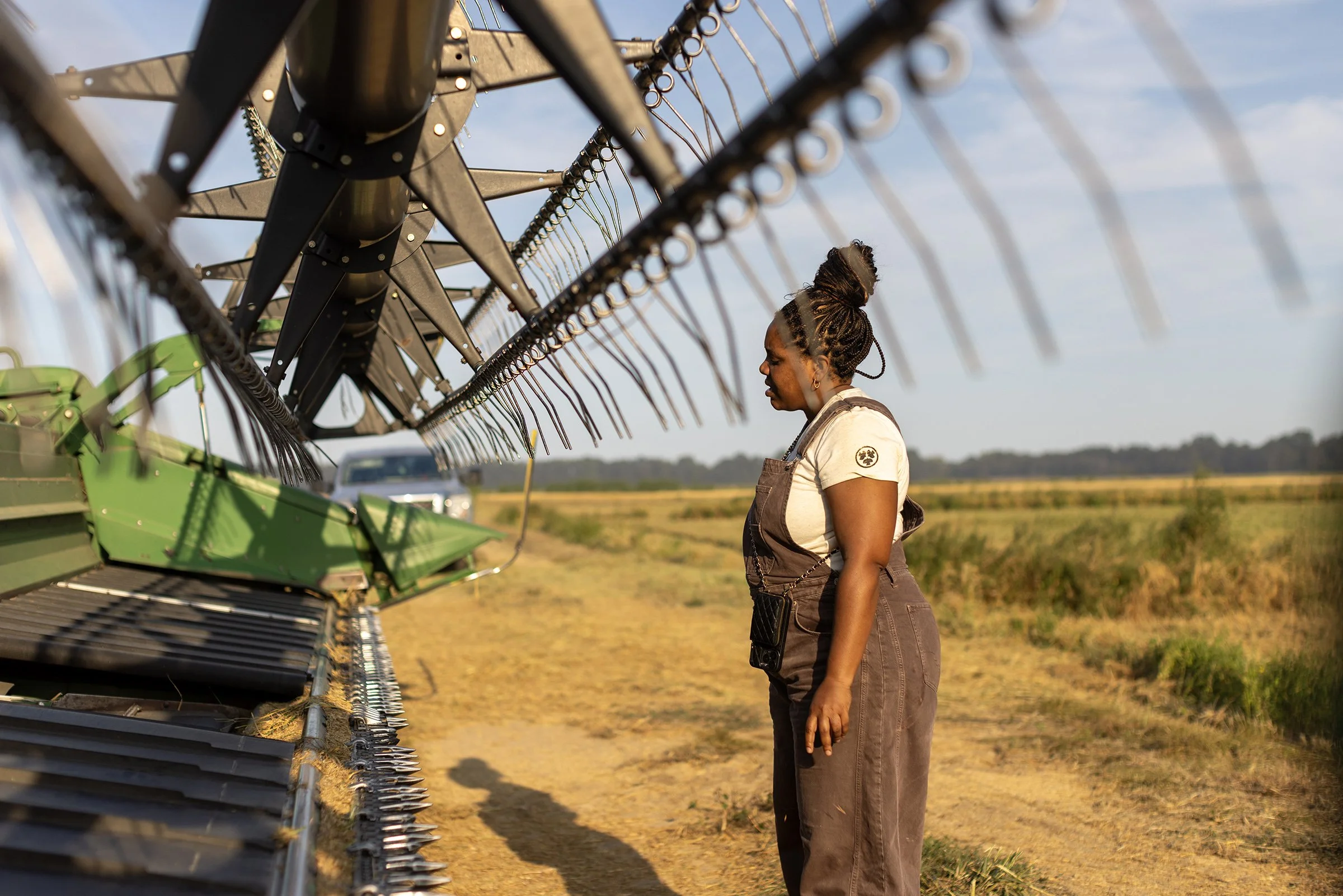  Farmer Christy Miller works a rice field in Sledge, Mississippi on September 8, 2025. 