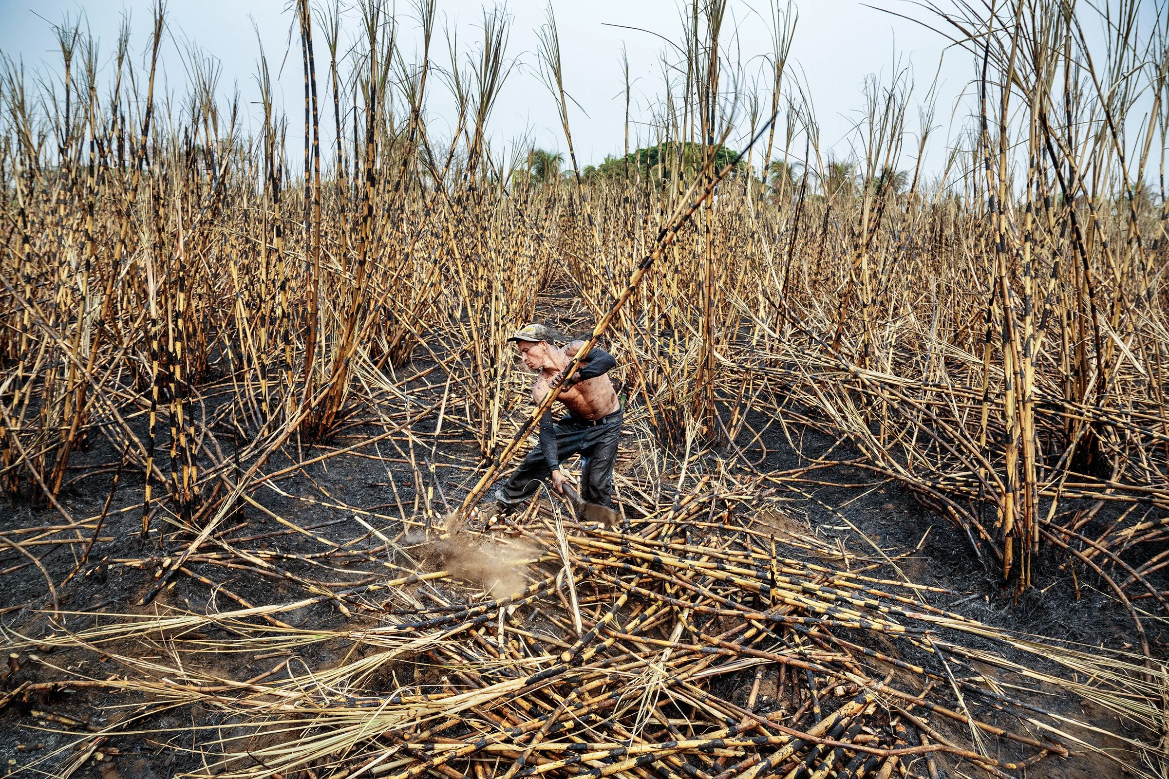 032_Visual Riffs.jpg