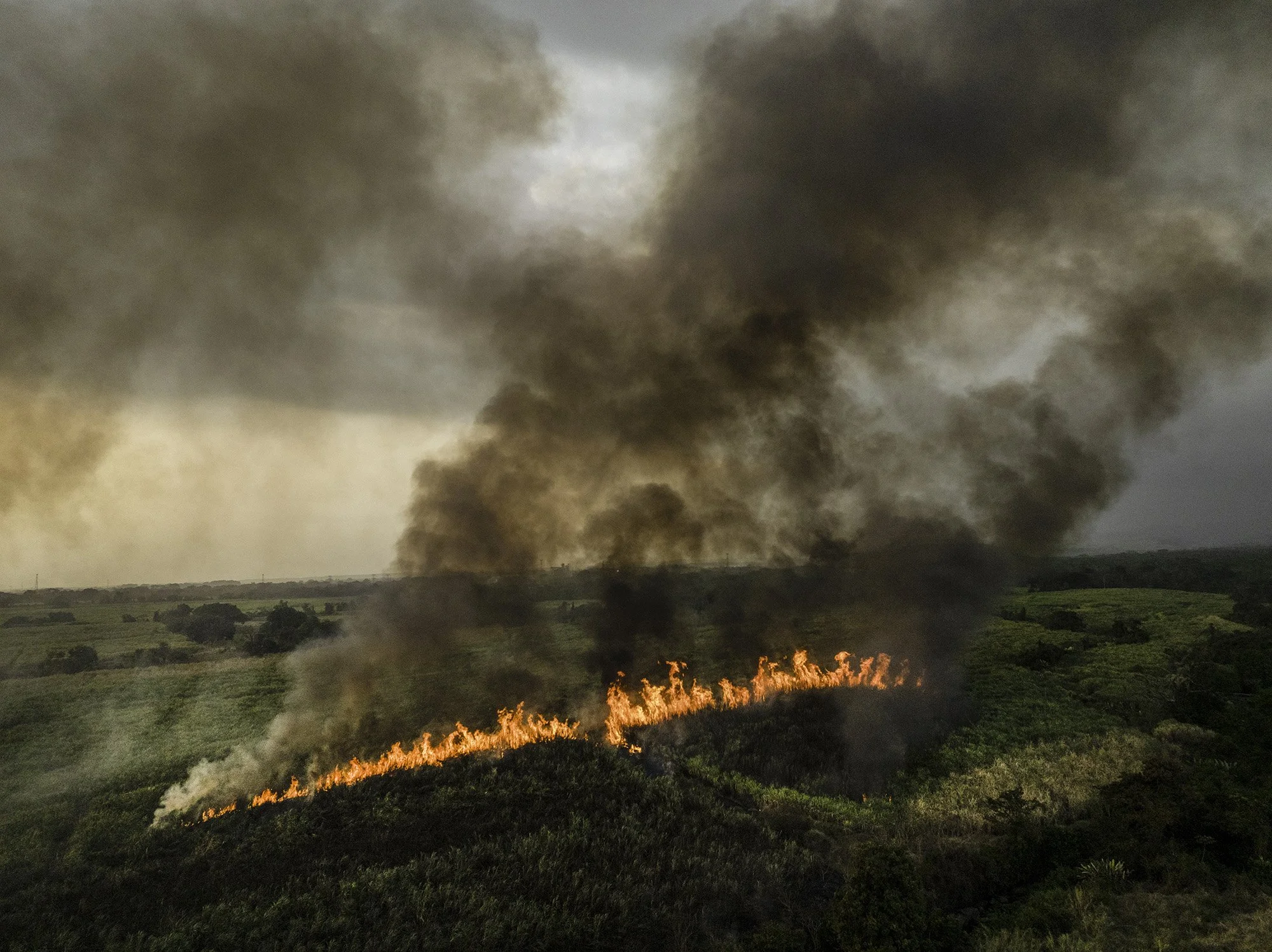  Views of a sugar cane field burning near Isquintla, Guatemala on March 4, 2026 