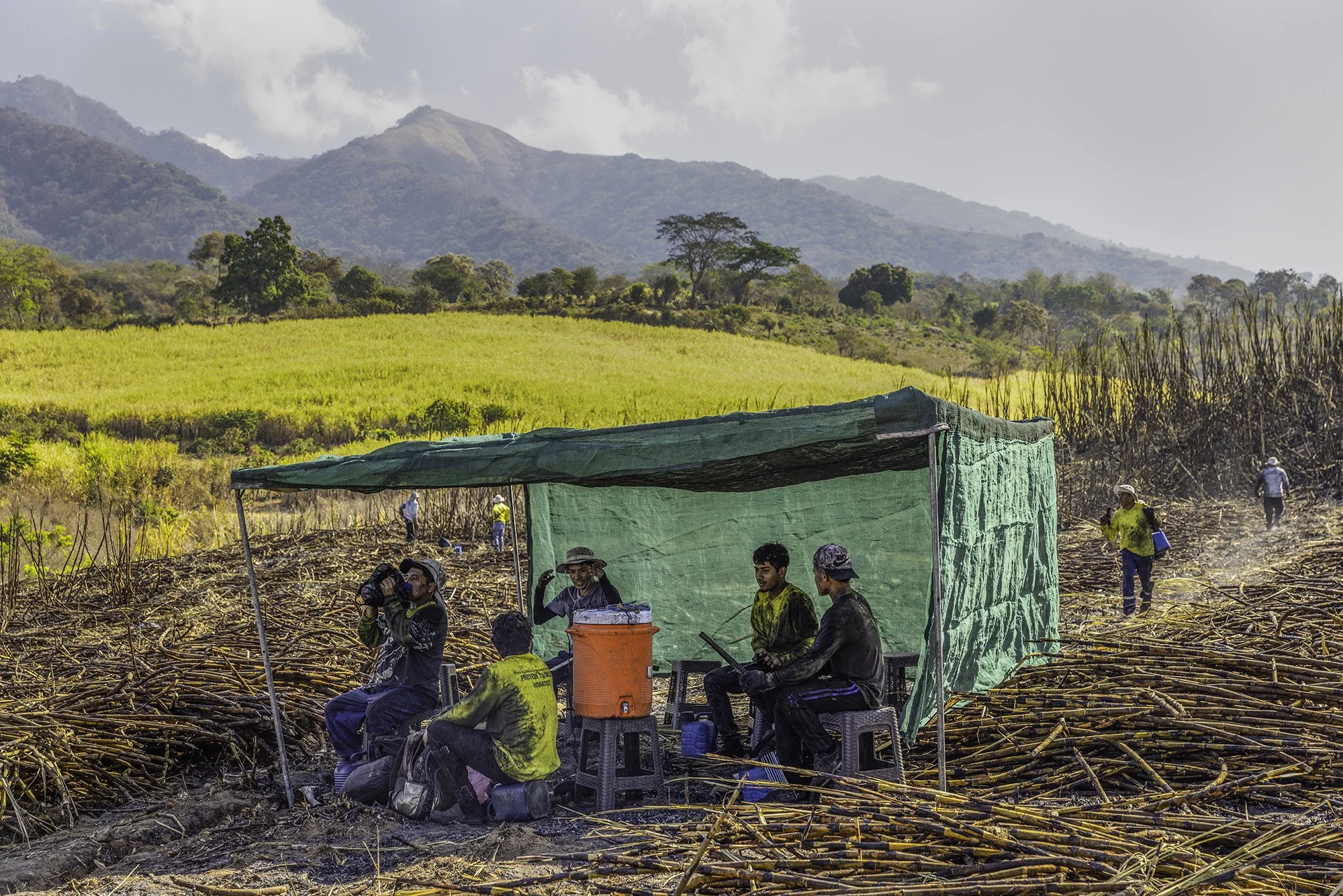  Sugar cane workers participating in La Isla Network's PREP program, which incorporates rest, water and shade into their work routine, in Guazapa, El Salvador on March 7, 2026. 
