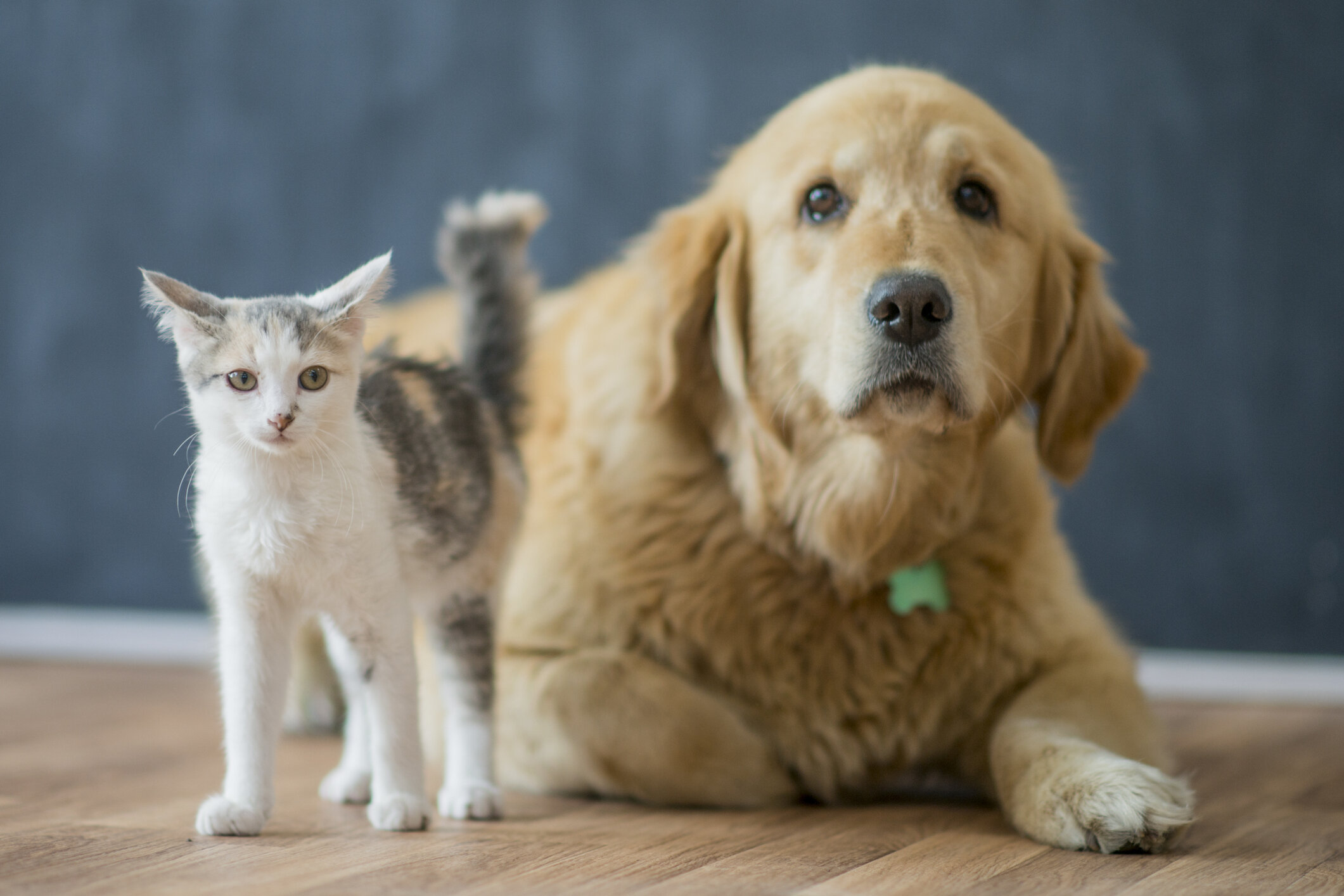 iStock-641895304.jpg