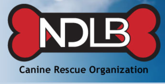 No Dog Left Behind Rescue