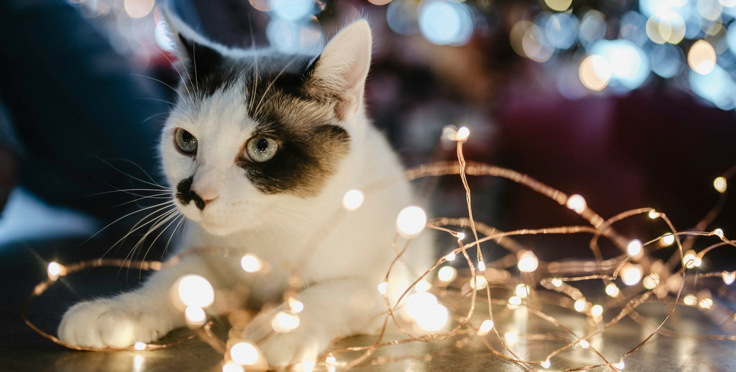 unsplash-image-PUTVh0Z_qNQ.jpg
