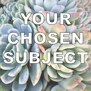 subject.jpg