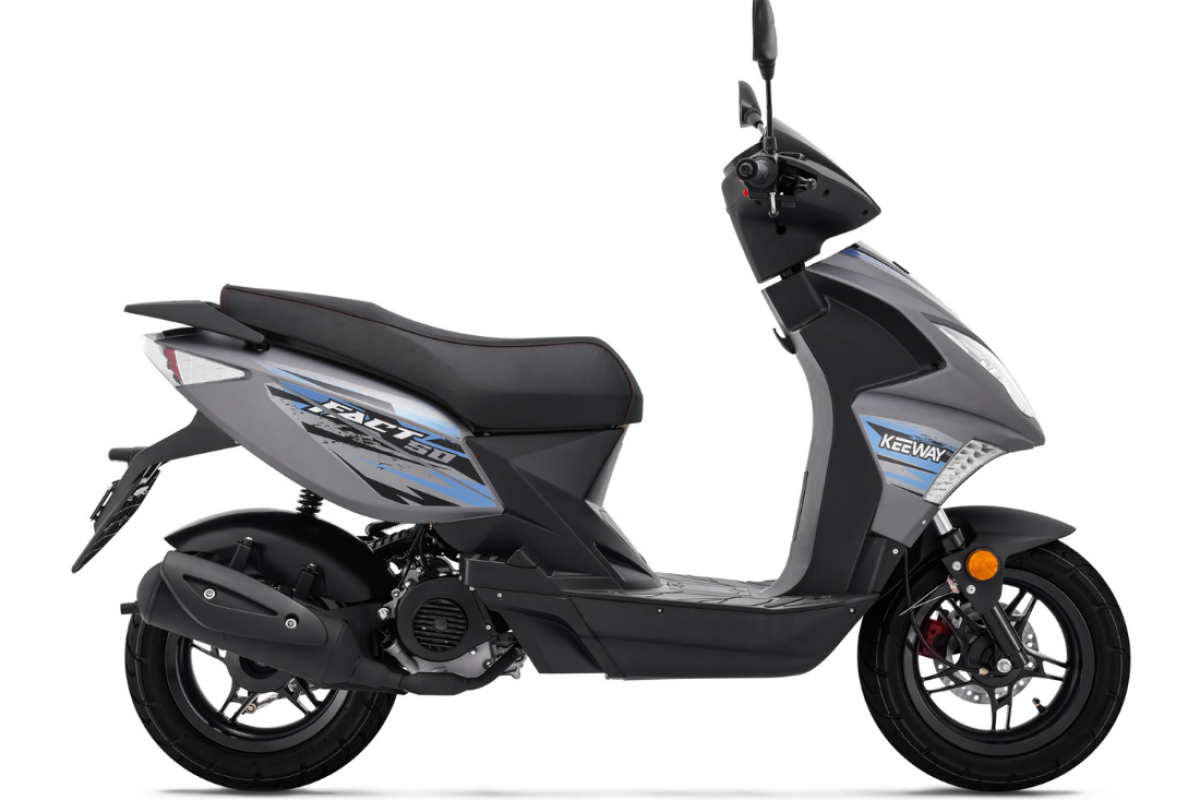 grey-1186.jpg