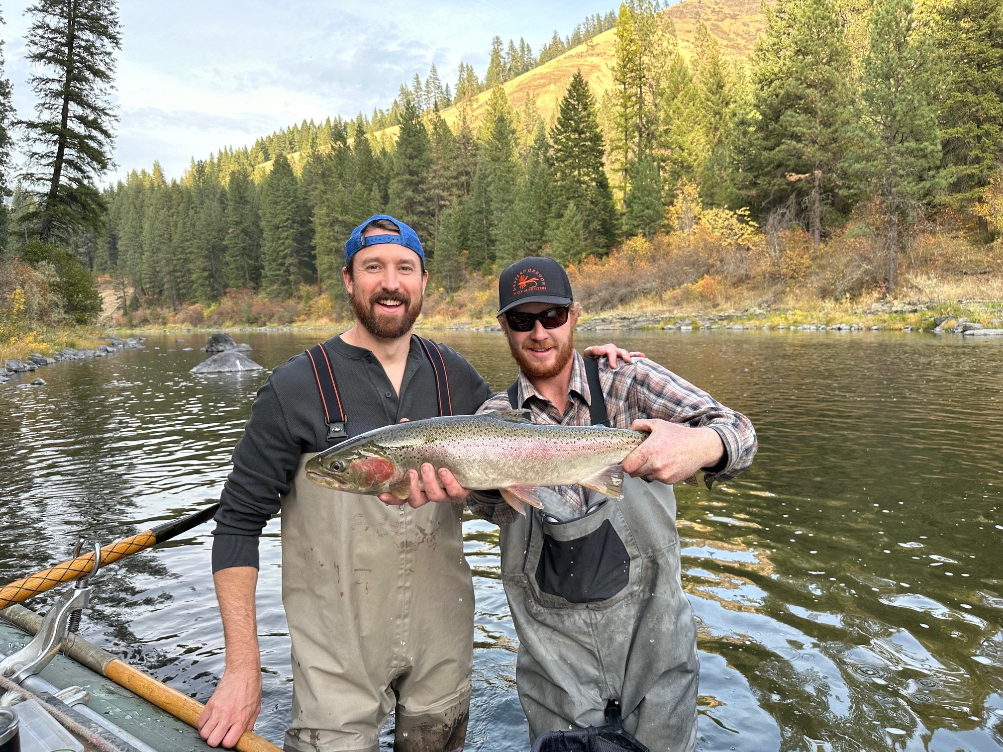 Steelhead.jpeg