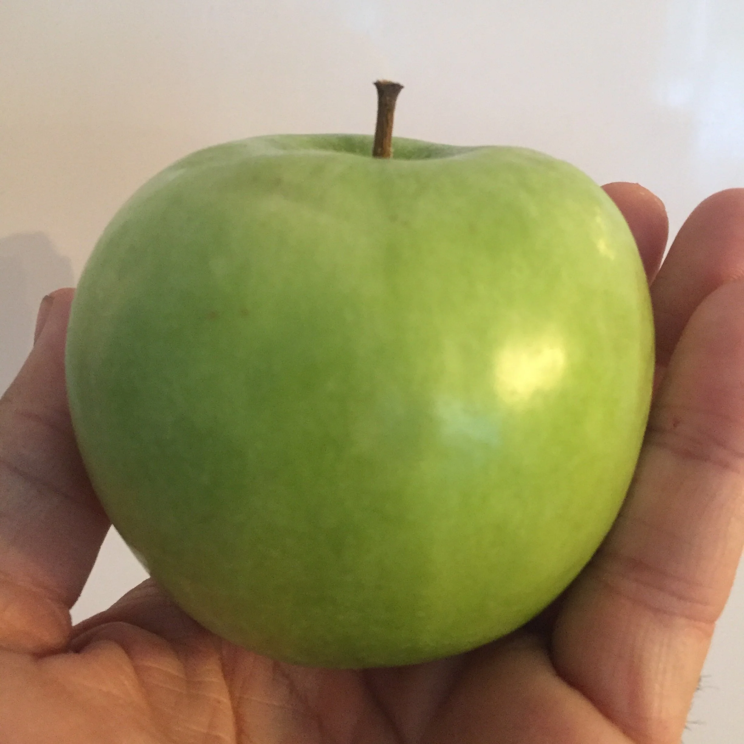 Thoughts on Teaching Voice