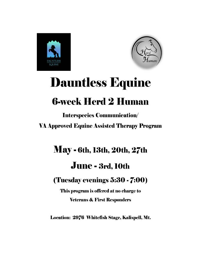 Dauntless Equines Herd2Human