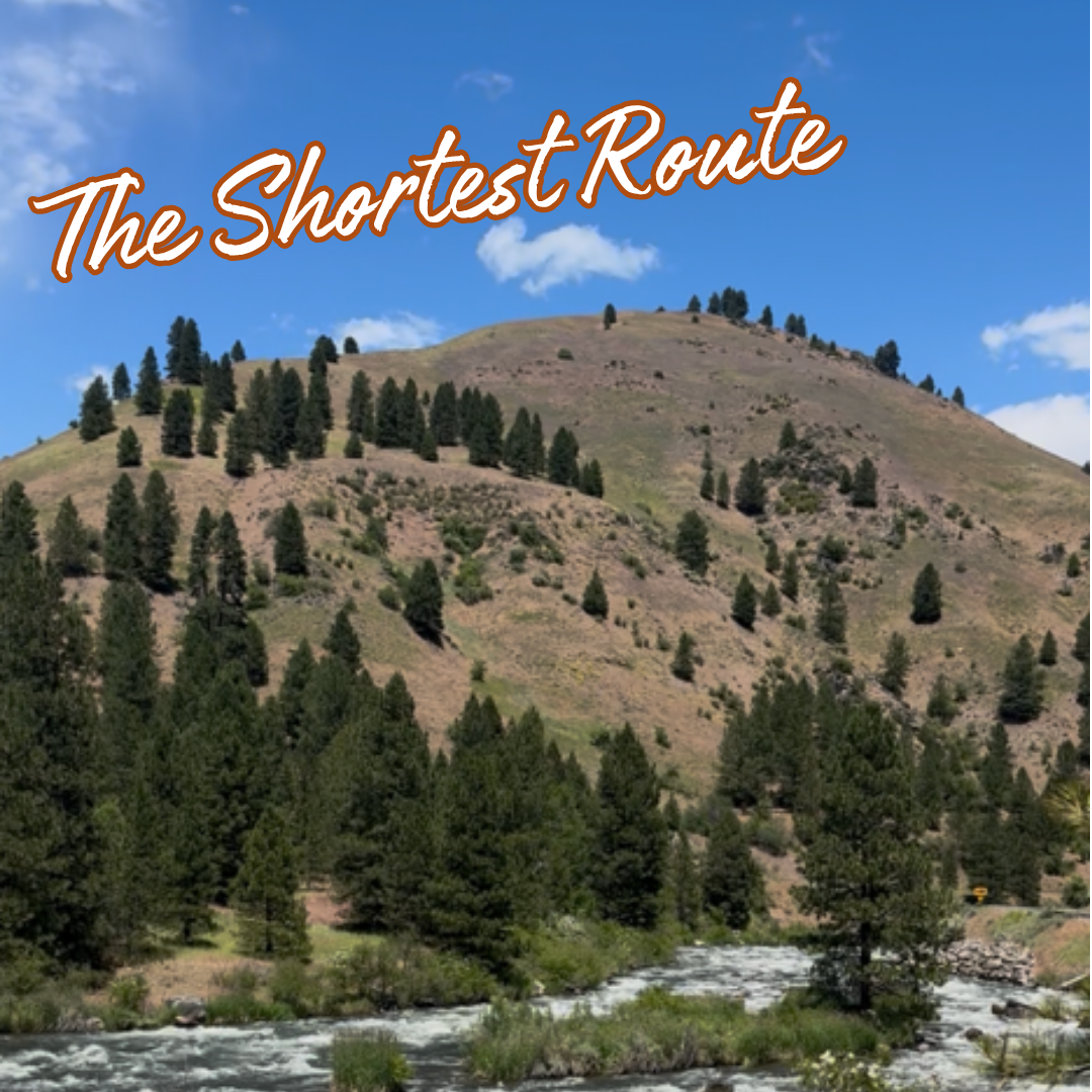 The Shortest Route