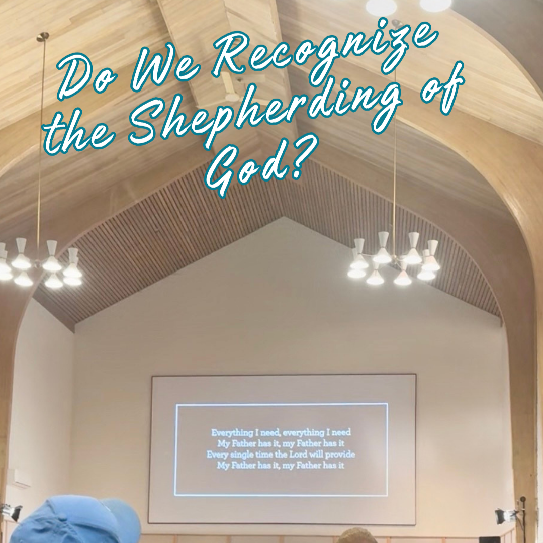Do We Recognize the Shepherding of God? 