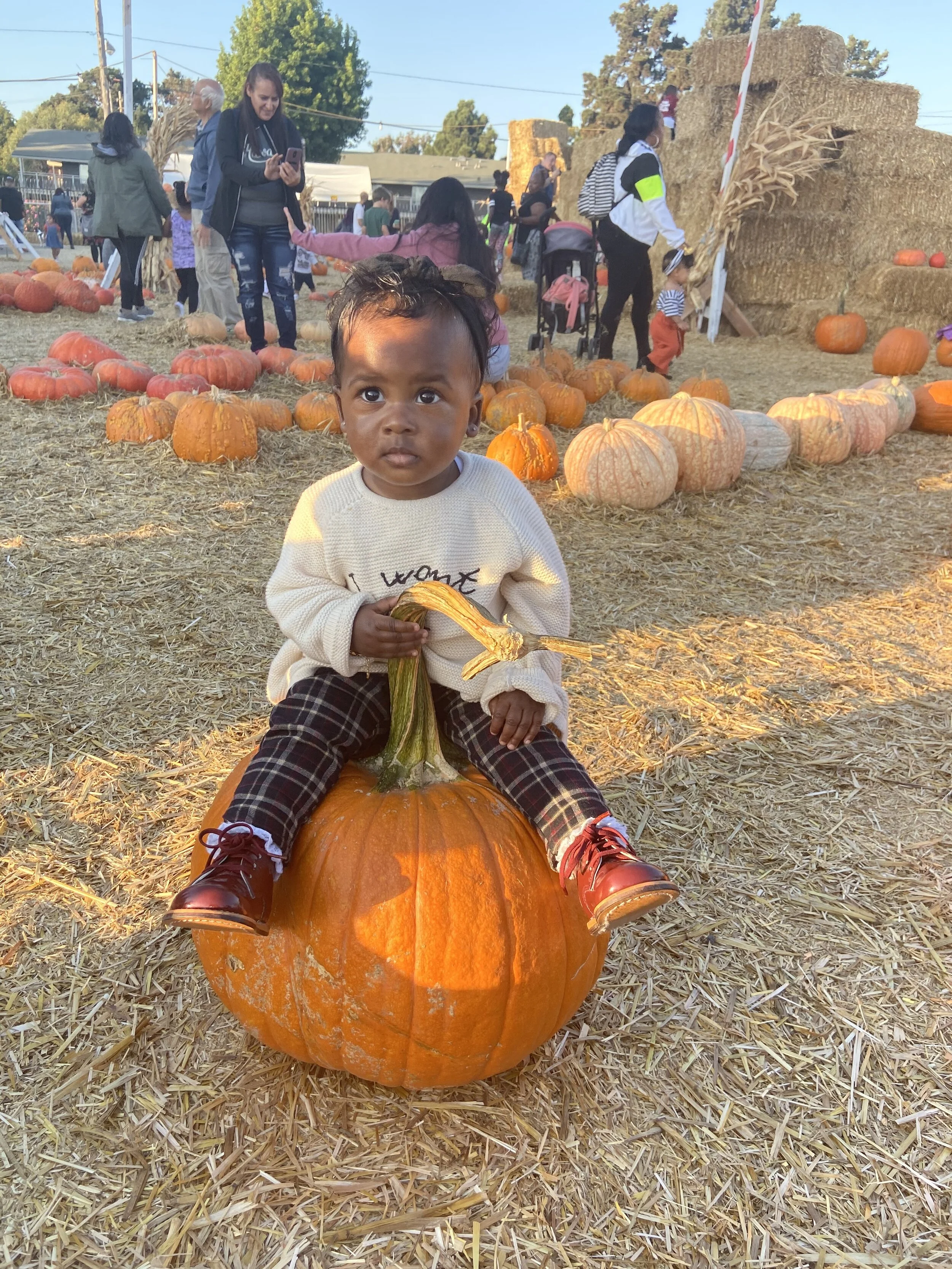 Overdressed at the Pumpkin Patch
