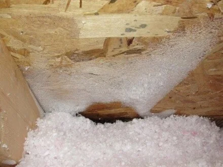 Who Inspected Your Attic?