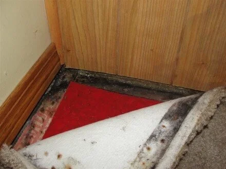 wet tack strips