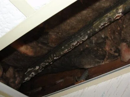 Rust-holes-in-galvanized-steel-vent-Minneapolis-home-inspection-radon-test-inspections.jpg