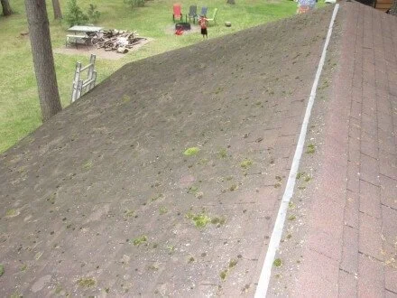 Zinc Strips on Mossy Roof, Four Years Later