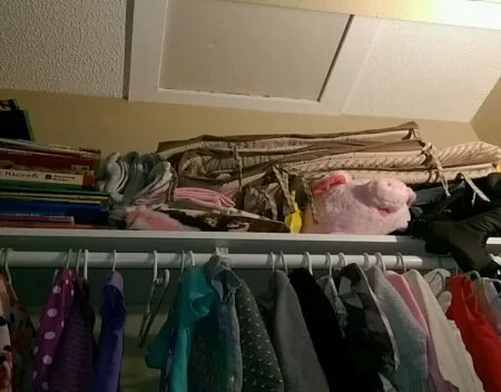 Dear Home Seller, please let me into your attic