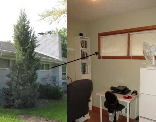 Egress requirements and the two-opening myth