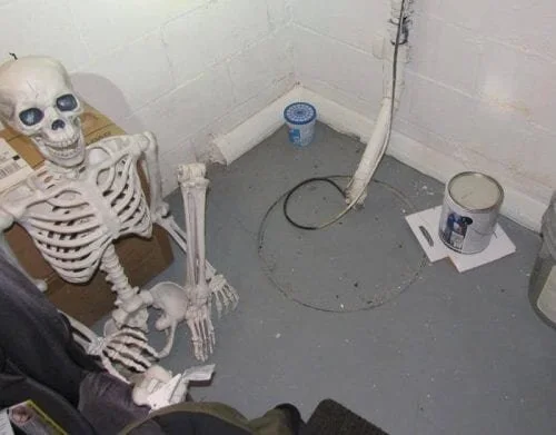 Animals, skeletons, and creepy home inspection stuff, part 3