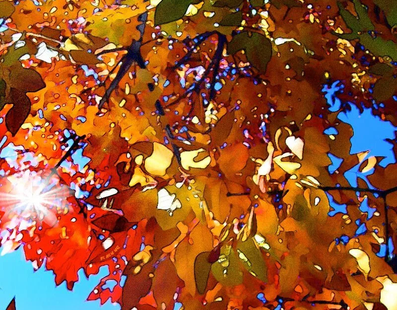 Podcast: Fall Maintenance for Minnesota Homeowners