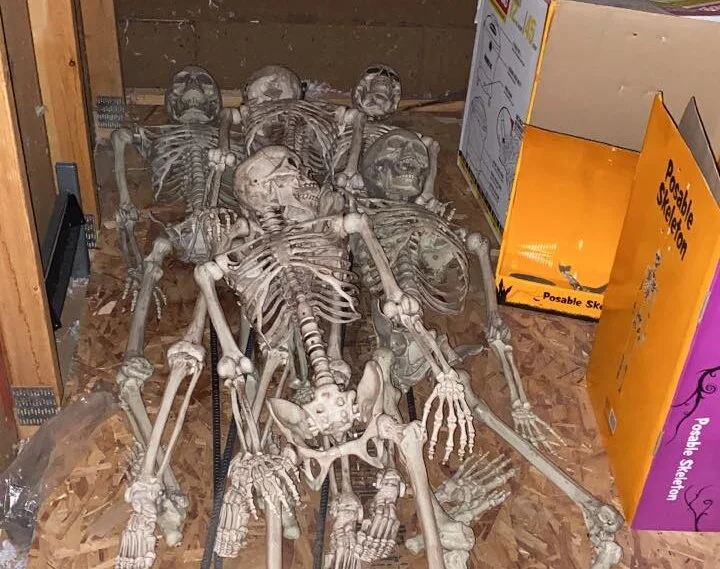 Animals, skeletons, and creepy home inspection stuff 2020