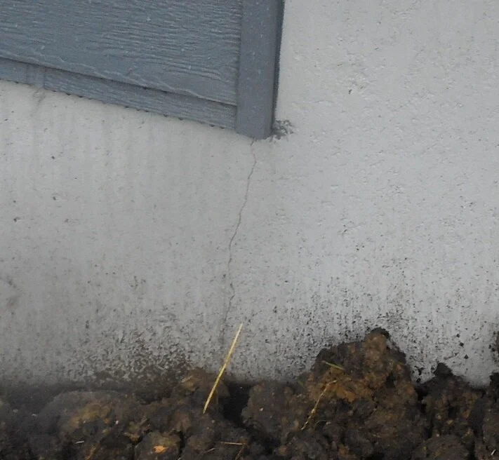 Crack in foundation wall.JPG
