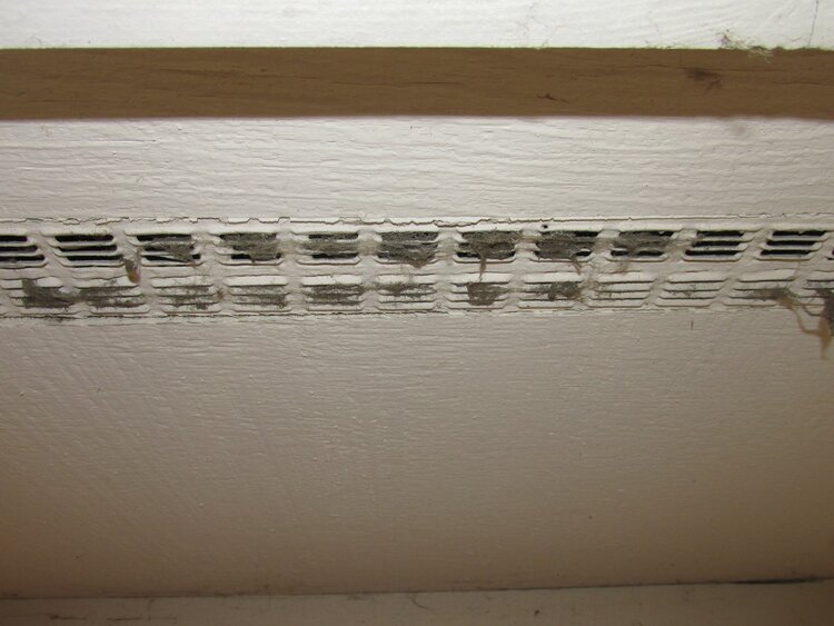 Dirty Soffit Vent.JPG