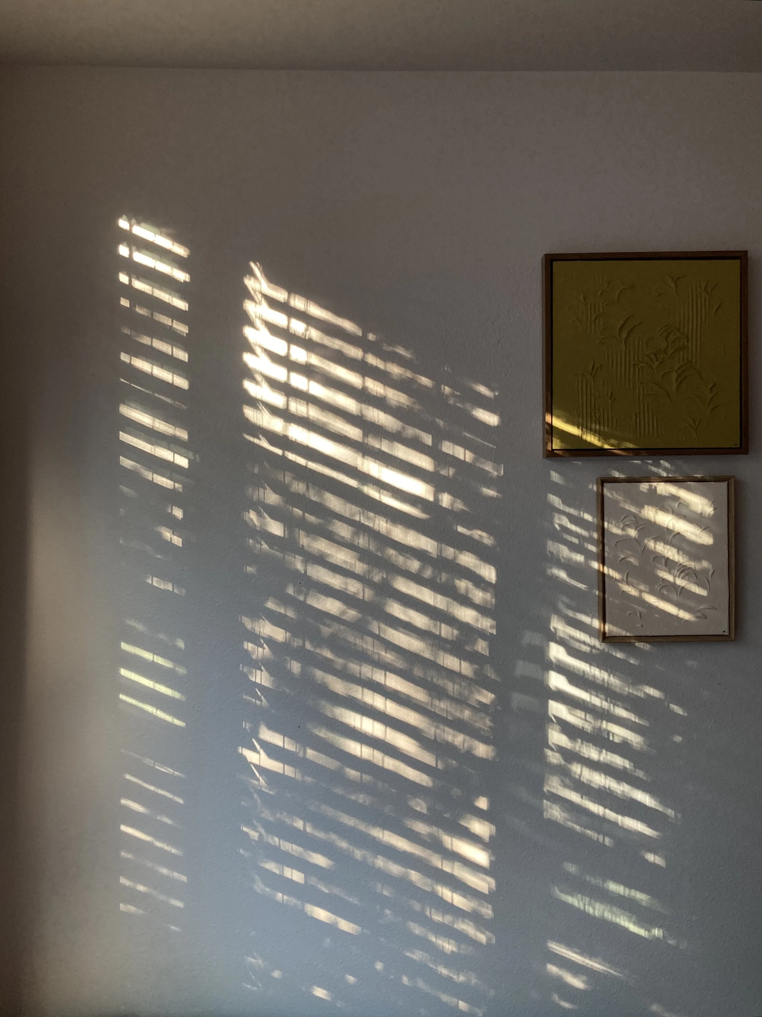 IMG_9394.jpeg