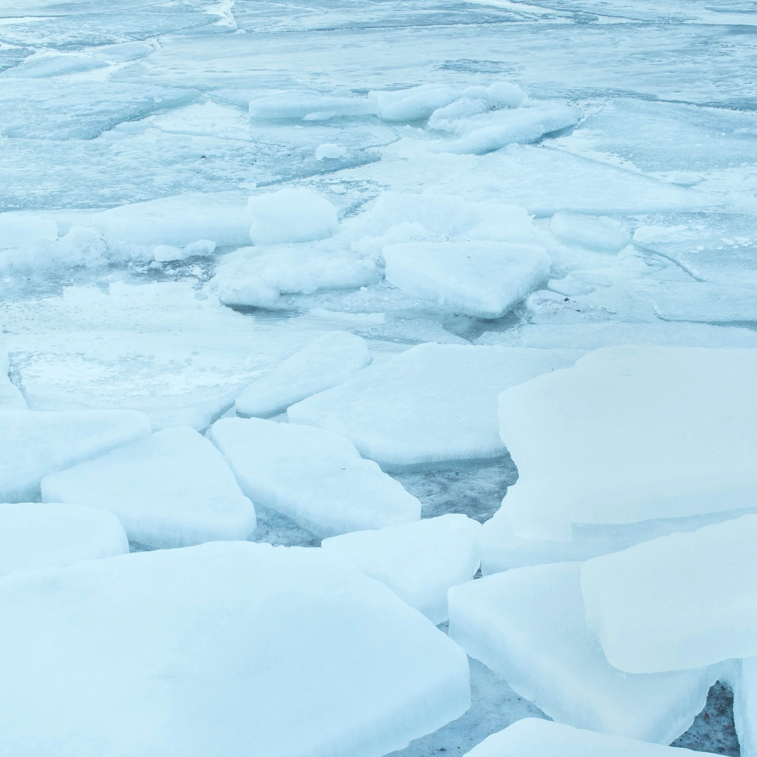 Episode 07 - Alien vs. Predator