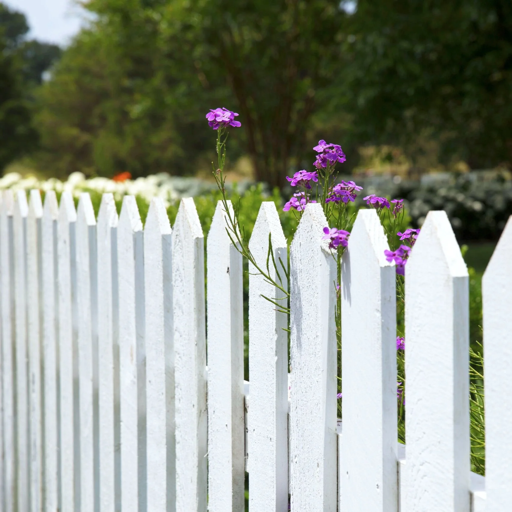 Episode 08 - The Stepford Wives