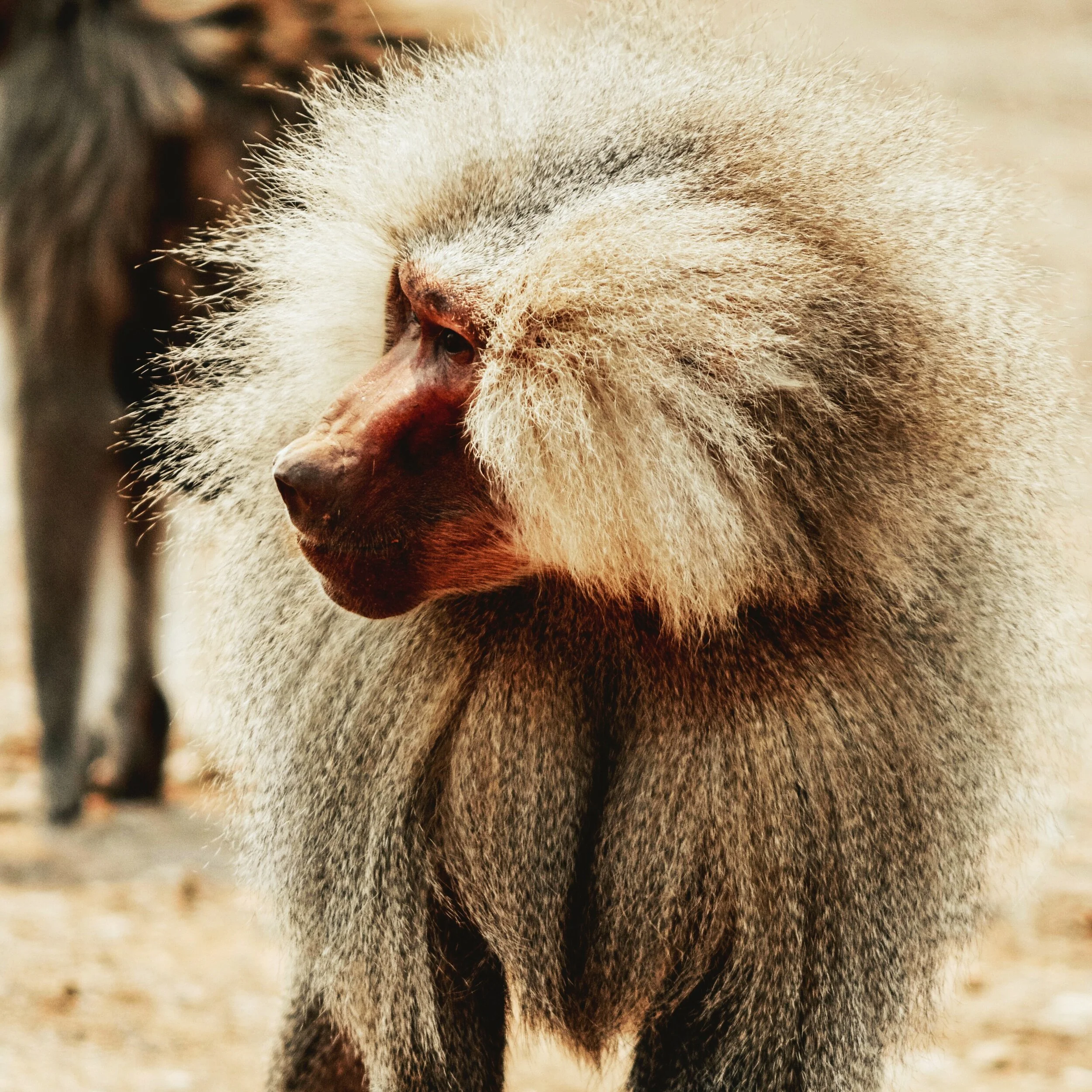 Episode 09 - The Fly