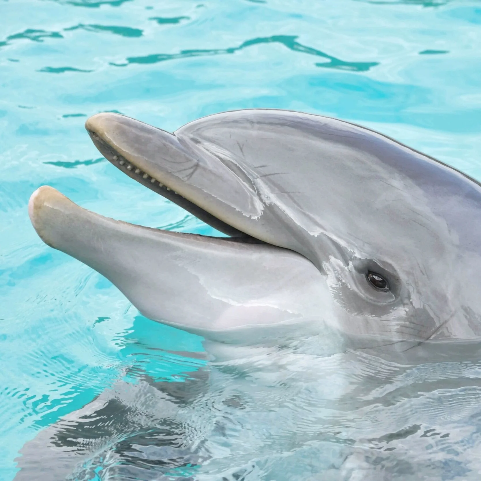 Episode 13 - SeaQuest DSV/2032: Such Great Patience