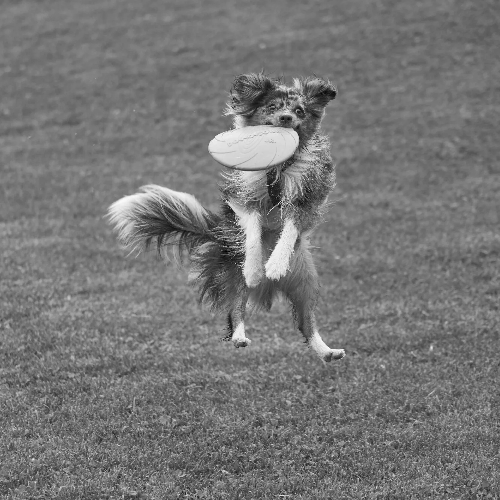 Episode 14 - Flight of the Navigator